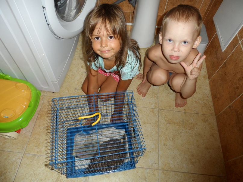 Вера Соколова | Волгоград