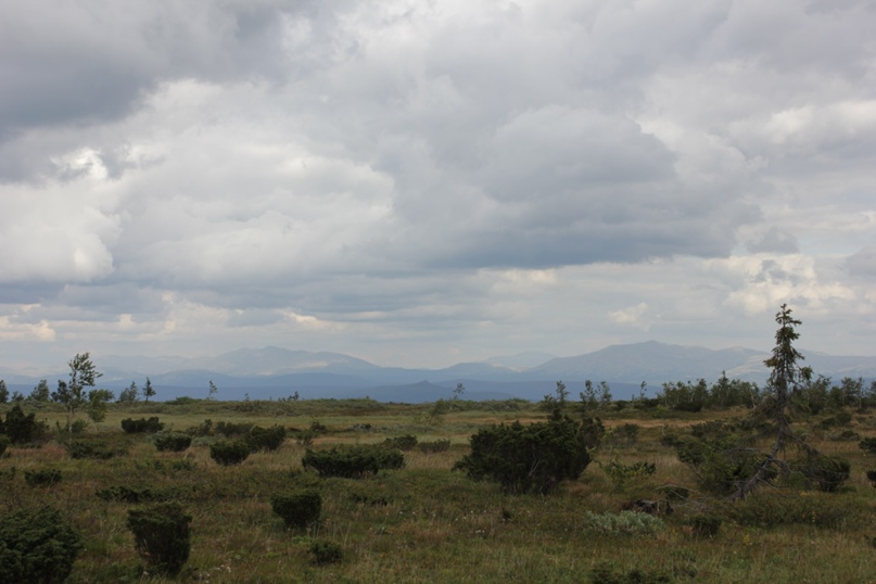 Сергей Горячкин |