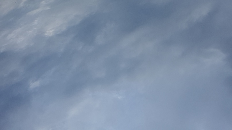 Дарья Жданова | Москва