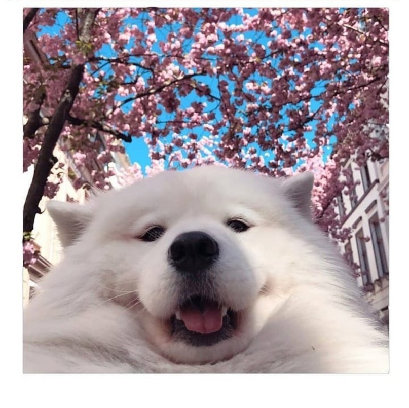 Валентин Черненко |