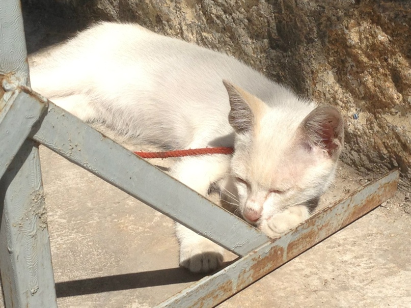 Вера Деева | Екатеринбург