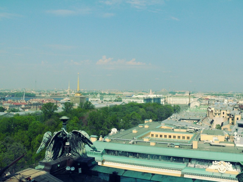 Лотта Dragon-Fly | Москва