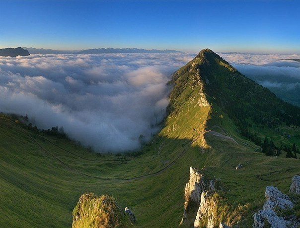 Сергей Гордеев |
