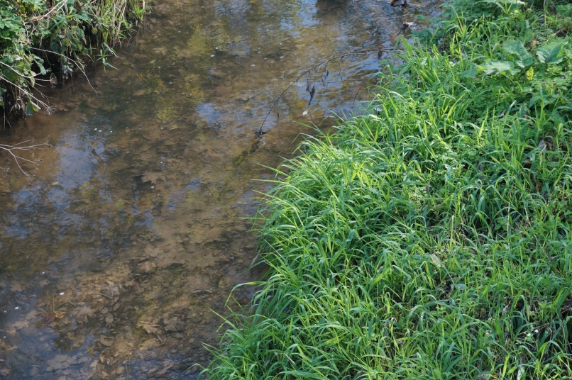 Артем Барыкин | Смоленск