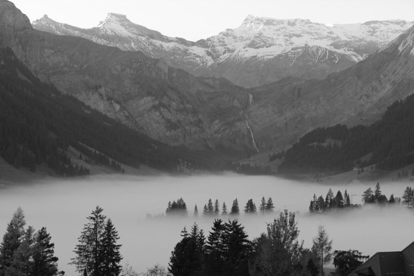 Маргарита Фомина | Москва