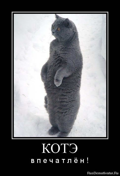 Алёна Беспалова | Москва