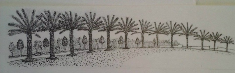 Ольга Синицкая |