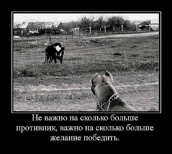 Екатерина Медведева | Москва