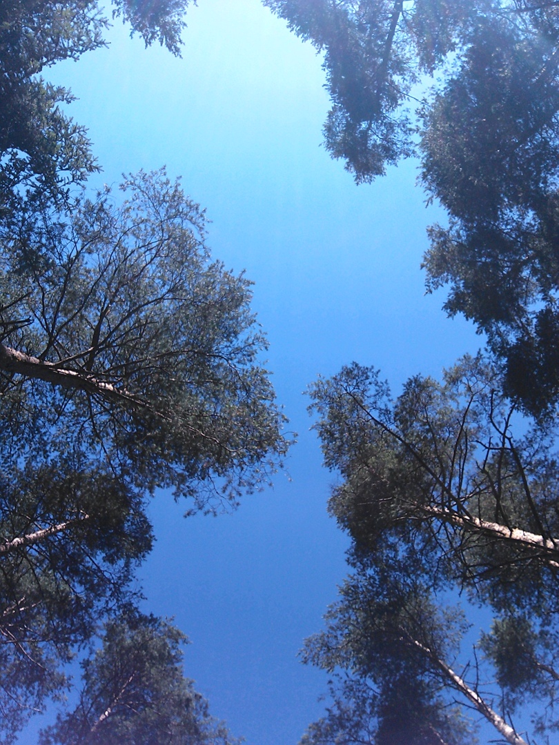 Илья Николаевич ☻ | Санкт-Петербург