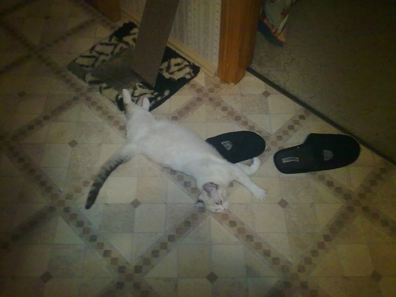 Василий Юрченко | Серов