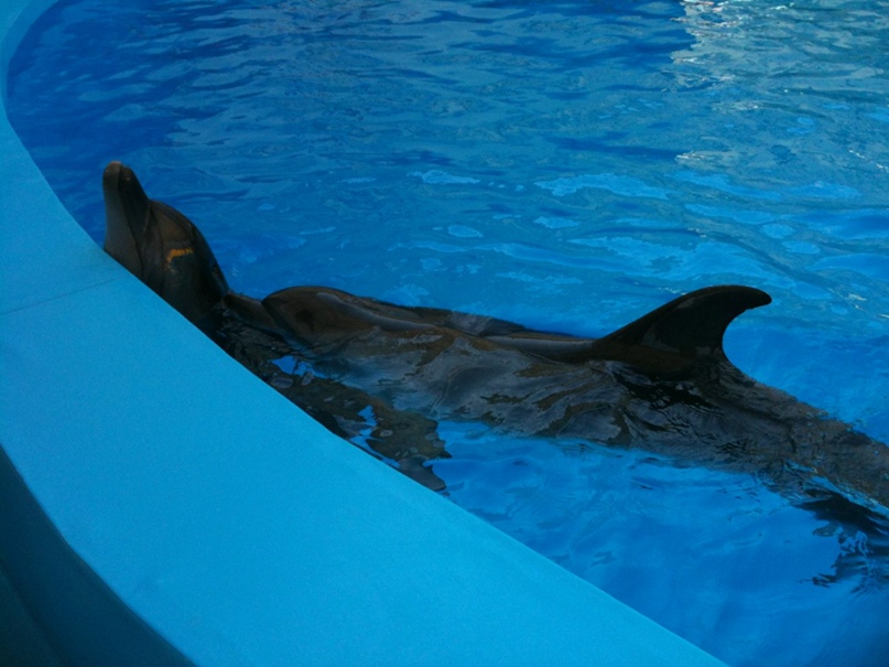 Вячеслав Володин | Николаев