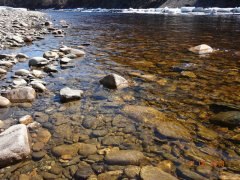 Андрей Кокорин | Белгород