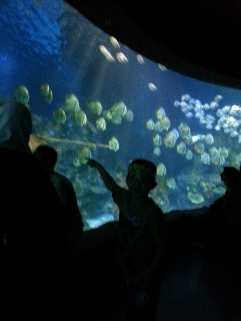 Анна Тяпкина | Turku