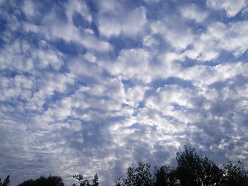 Анатолий Колосовский | Новосибирск