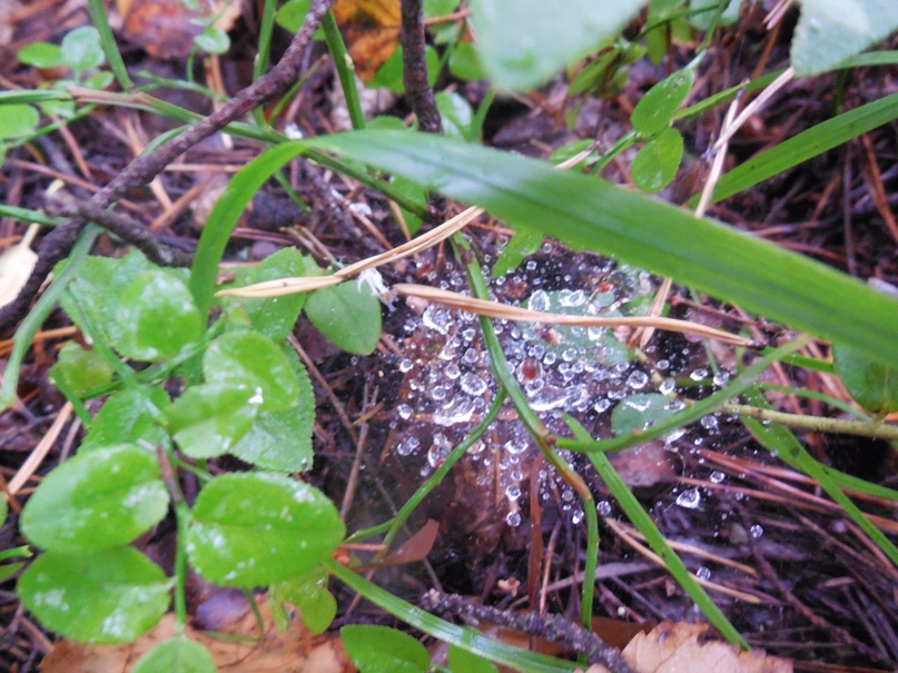 Павел Костин | Москва