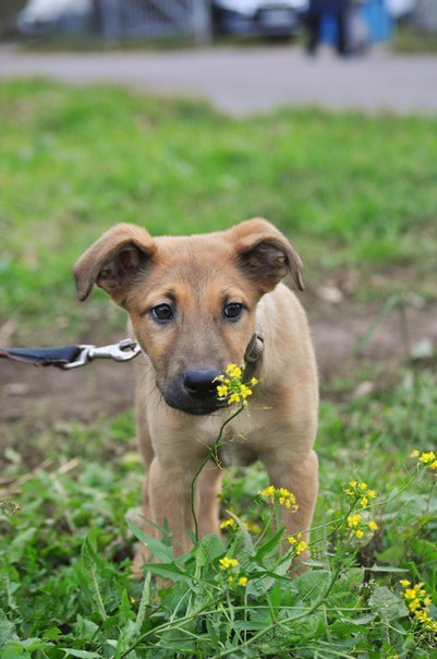 Татьяна Вылуско | Санкт-Петербург