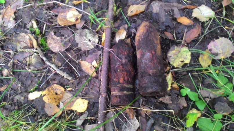 Григорий Сергеевич | Санкт-Петербург