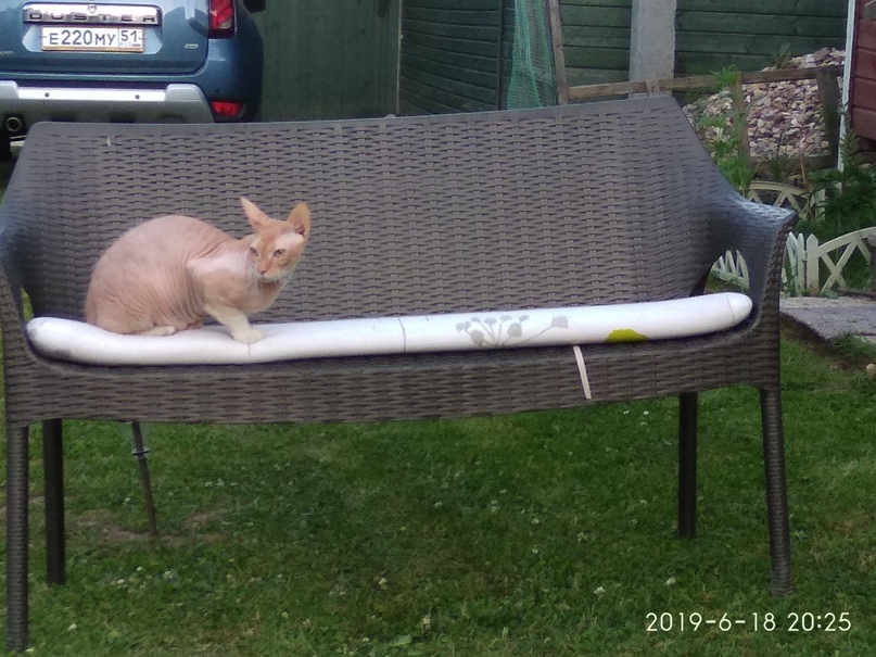 Александр Разин | Радужный