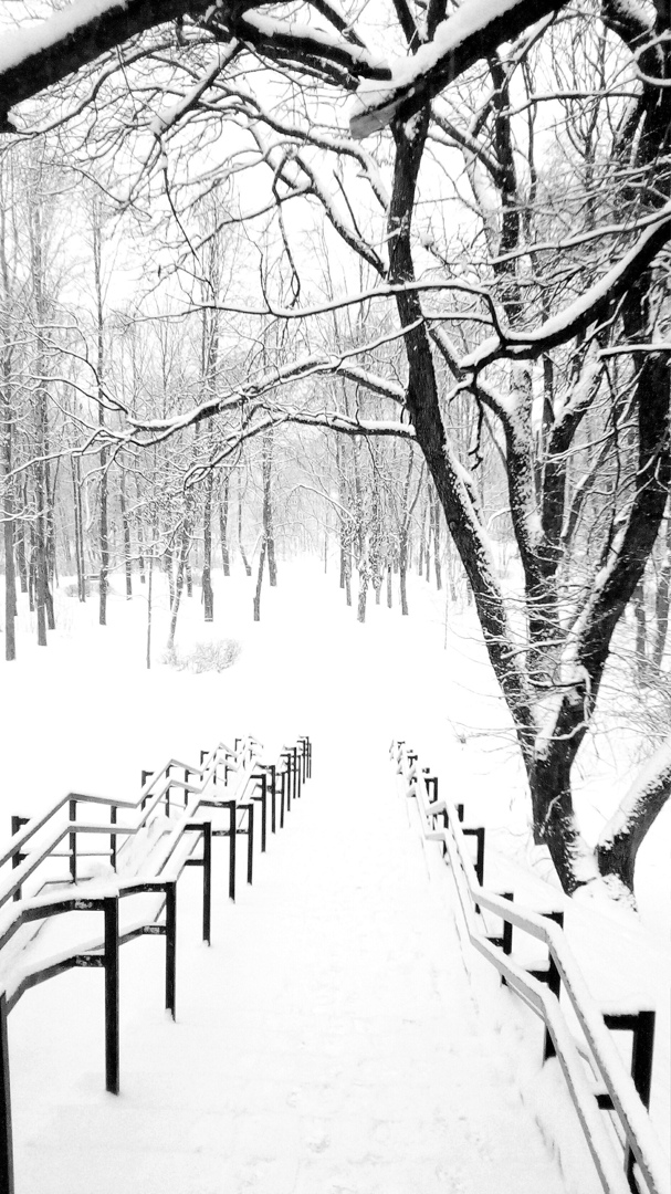 Михаил Кононов |