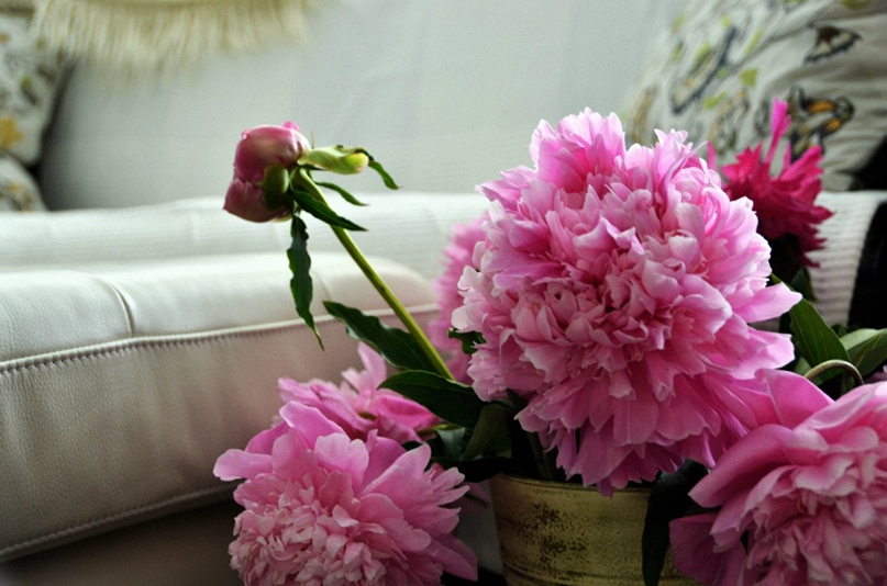 Ирина Пилипенко | Москва