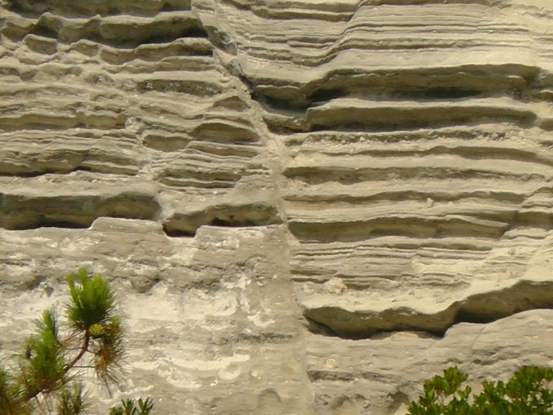 Марианна Костина |