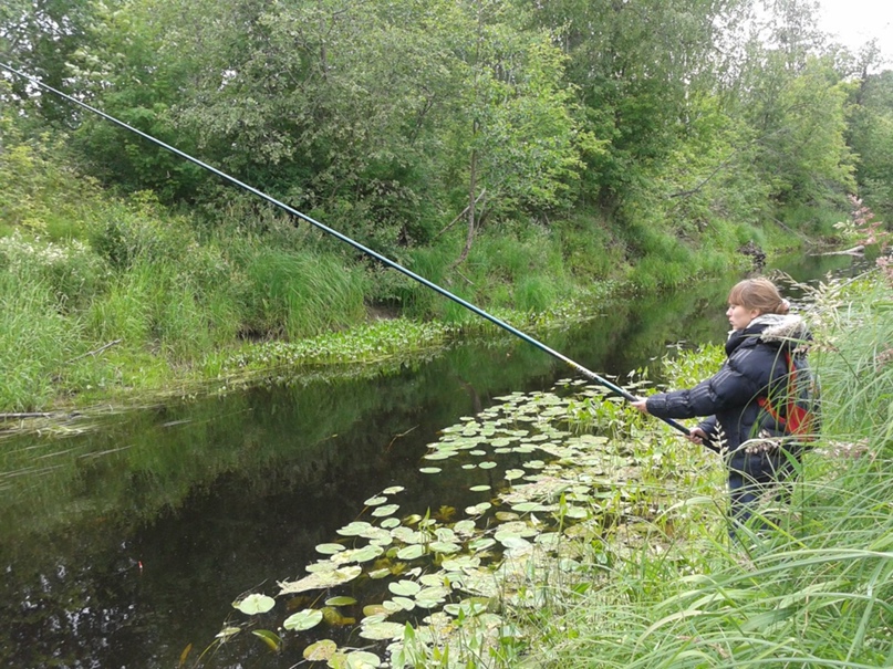 Алёнка Татаринцева | Вологда