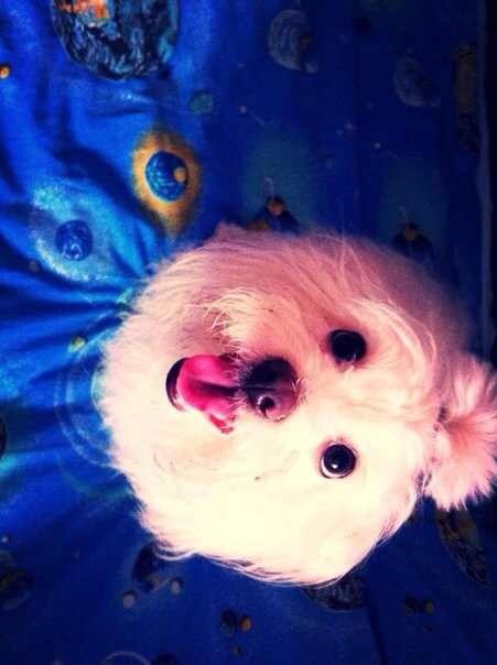 Дмитрий Потехин | Сосногорск