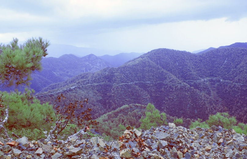 Анастасия Мосина | Москва