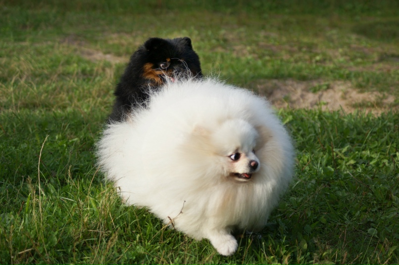 Мария Николаева ???? LAGUZ ???? | Санкт-Петербург