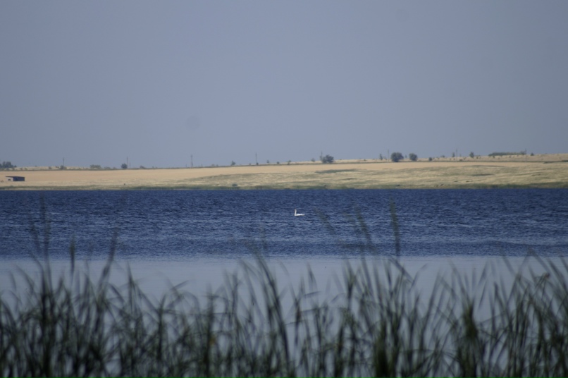 Тимур Сафин | Магнитогорск