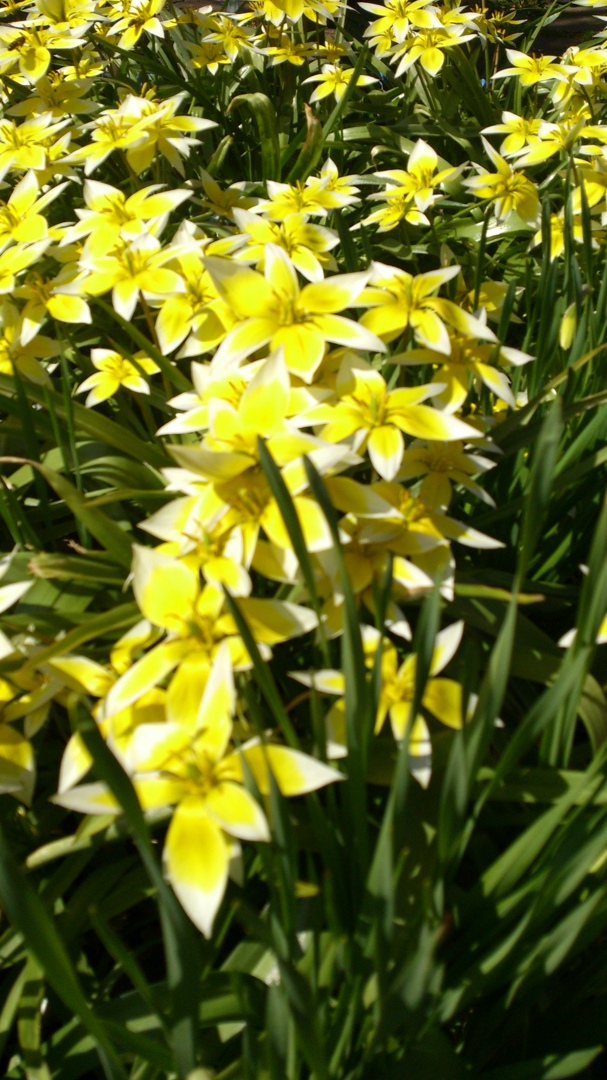 Татьяна Корепанова | Нижний Тагил