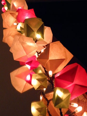 Елена Дубонос | Воронеж