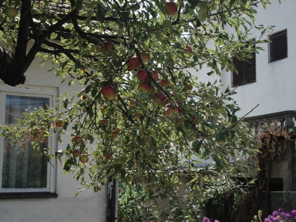 Юлия Титкова | Казань