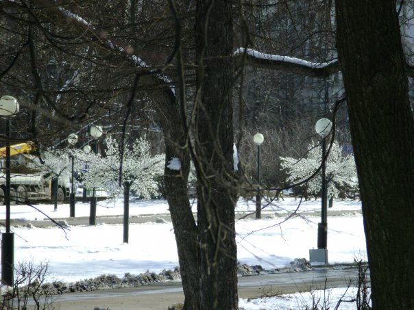 Алексей Устякин | Саранск