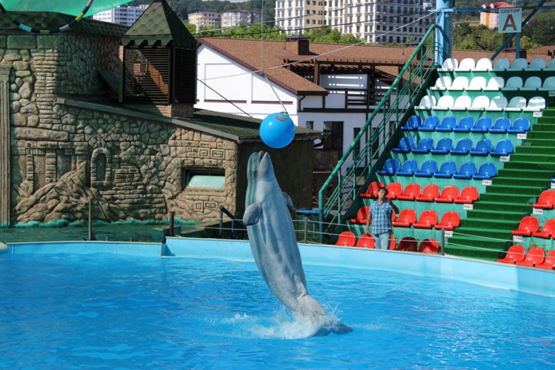 Ирина Симонина | Омск