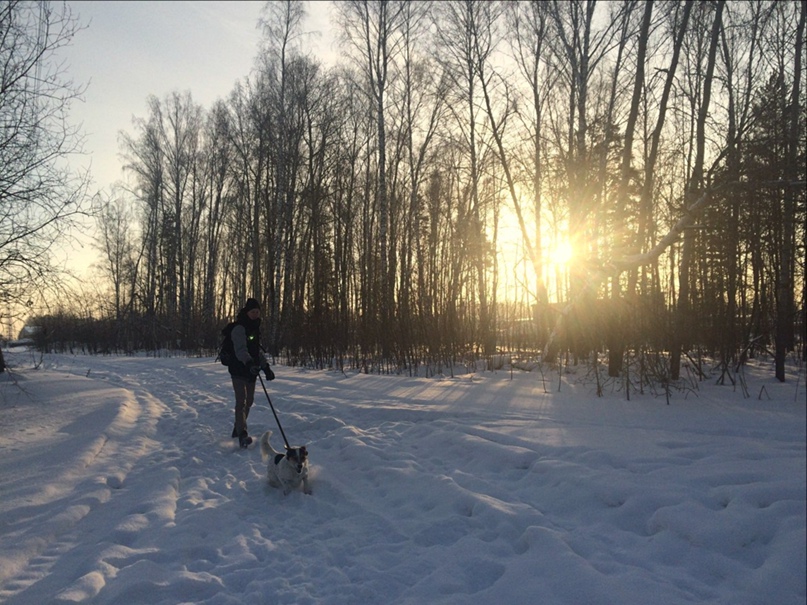 Алексей Солдатов |