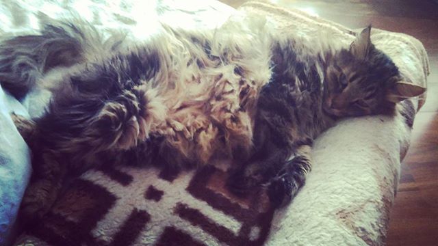 Дарья Новикова | Москва