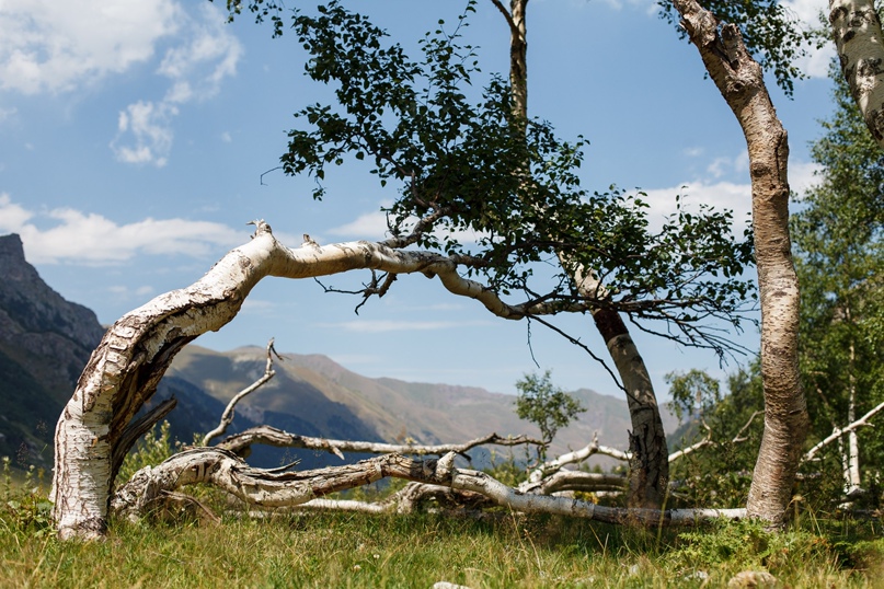 Антон Ефимов | Касимов