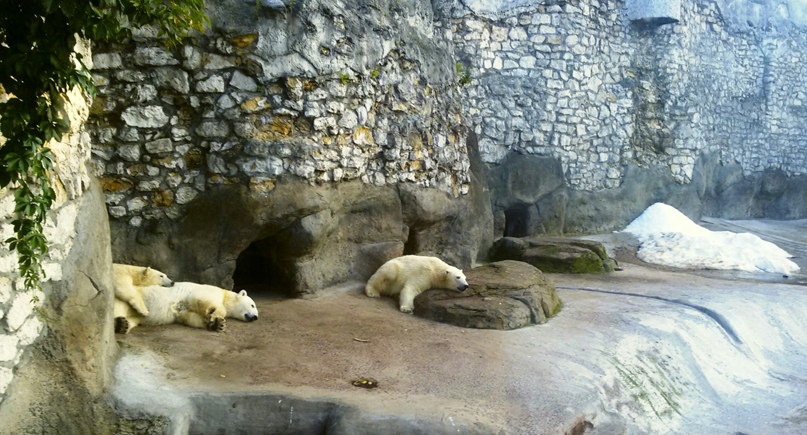 Александр Истомин | Таловая