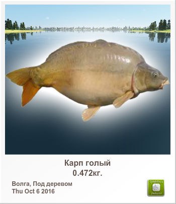 Игорь Сахаров Borman | Санкт-Петербург