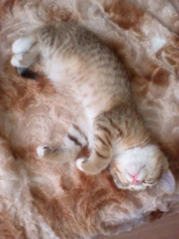 Светлана Глущенко | Новосибирск