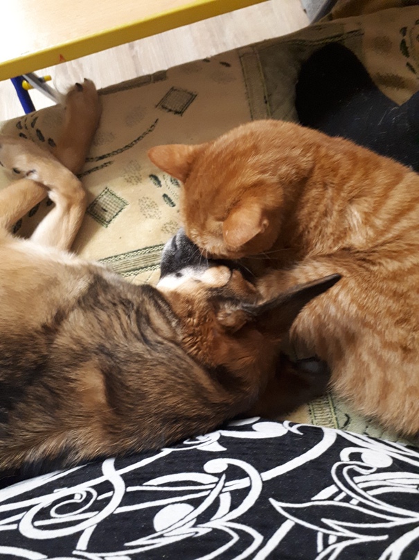 Мария Шутова | Барнаул