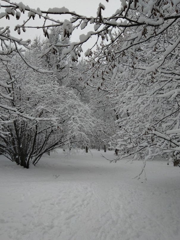 Катя Гордеева | Москва