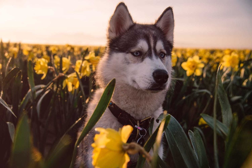 Антон Алхимов | Port-of-Spain