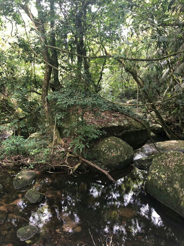 Ольга Овсянникова | Тольятти