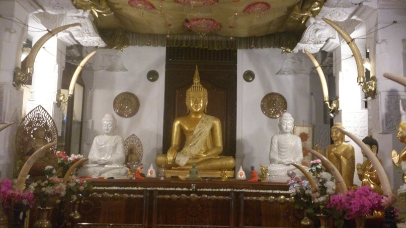 Денис Саенко | Ipswich