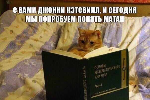 Константин Анищенко | Феодосия