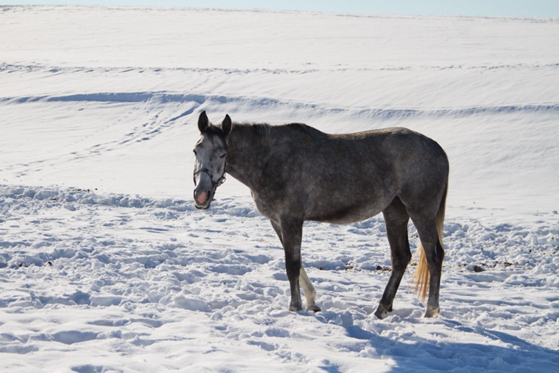 Екатерина Марченко | Москва