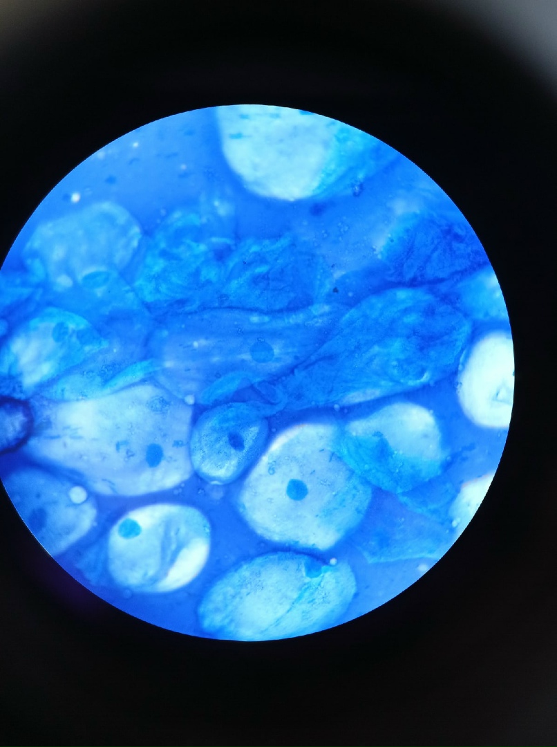 Марина Алёшина | Ростов-на-Дону