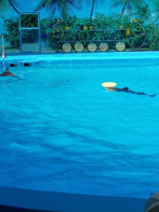 Рамиль Сабирзянов Люблю_дочу:) | Казань